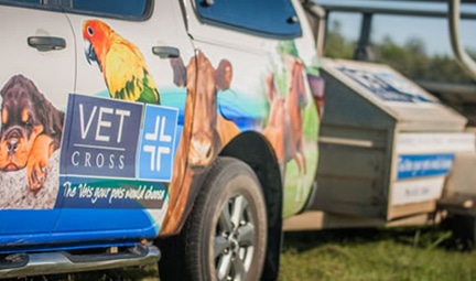 Parked Mobile Vet Car — Best Veterinary Services in Bundaberg, QLD