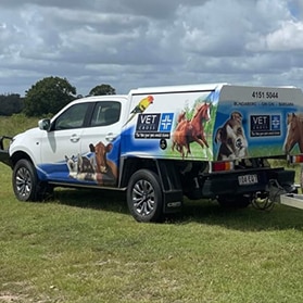 Veterinary Van with company logo and stickers — Best Veterinary Services in Bundaberg, QLD