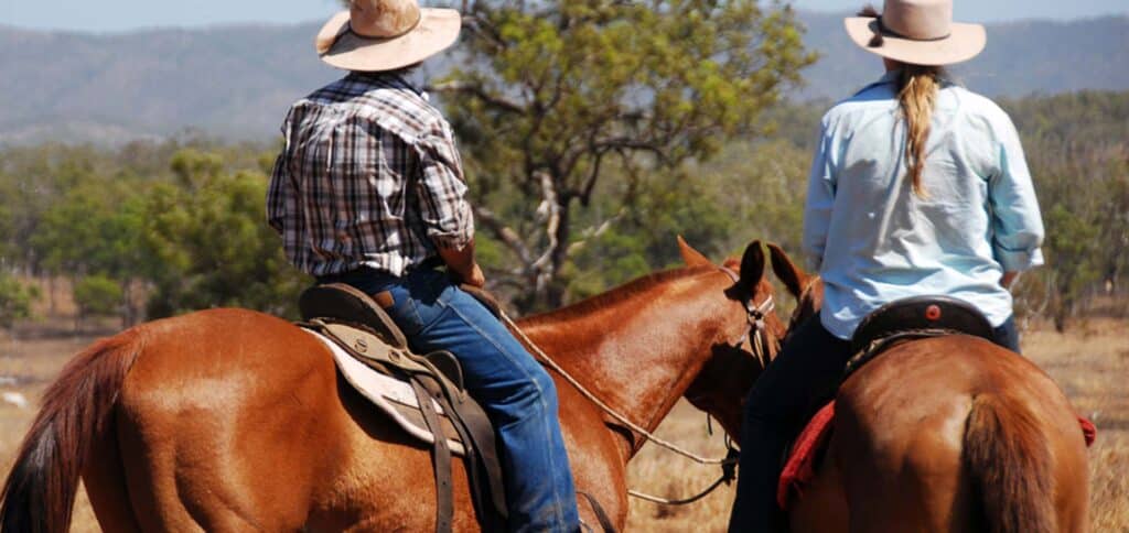 Couple riding horses — Best Veterinary Services in Bundaberg, QLD