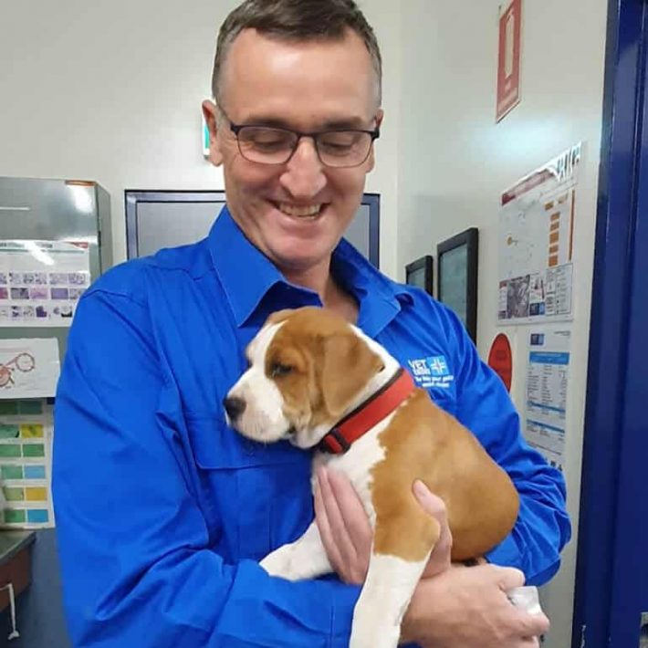 Vet Holding a Puppy — Best Veterinary Services in Bundaberg, QLD