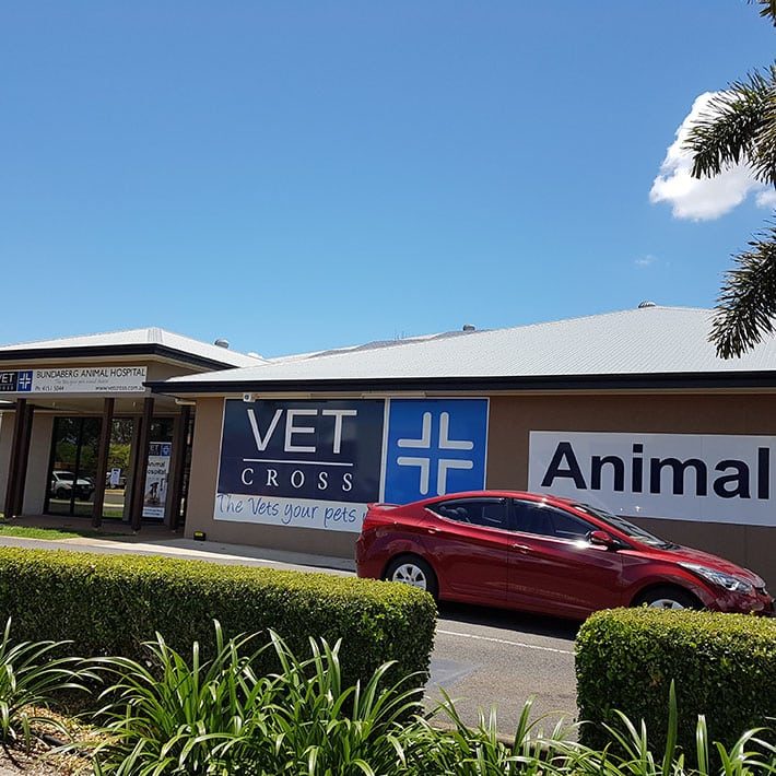 Outside view of a vet clinic — Best Veterinary Services in Bundaberg, QLD